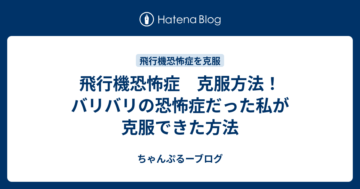 飛行機恐怖症 克服方法 バリバリの恐怖症だった私が克服できた方法 ちゃんぷるーブログ