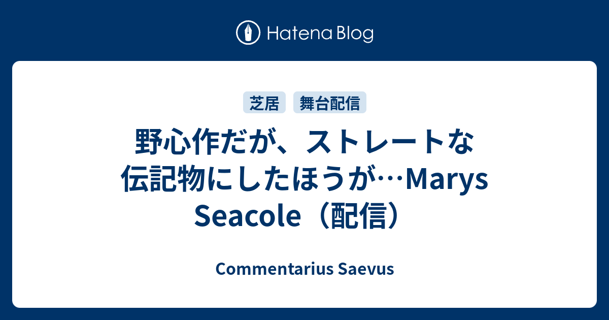 野心作だが ストレートな伝記物にしたほうが Marys Seacole 配信 Commentarius Saevus