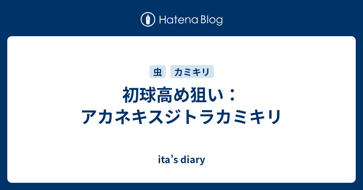 初球高め狙い アカネキスジトラカミキリ Ita S Diary