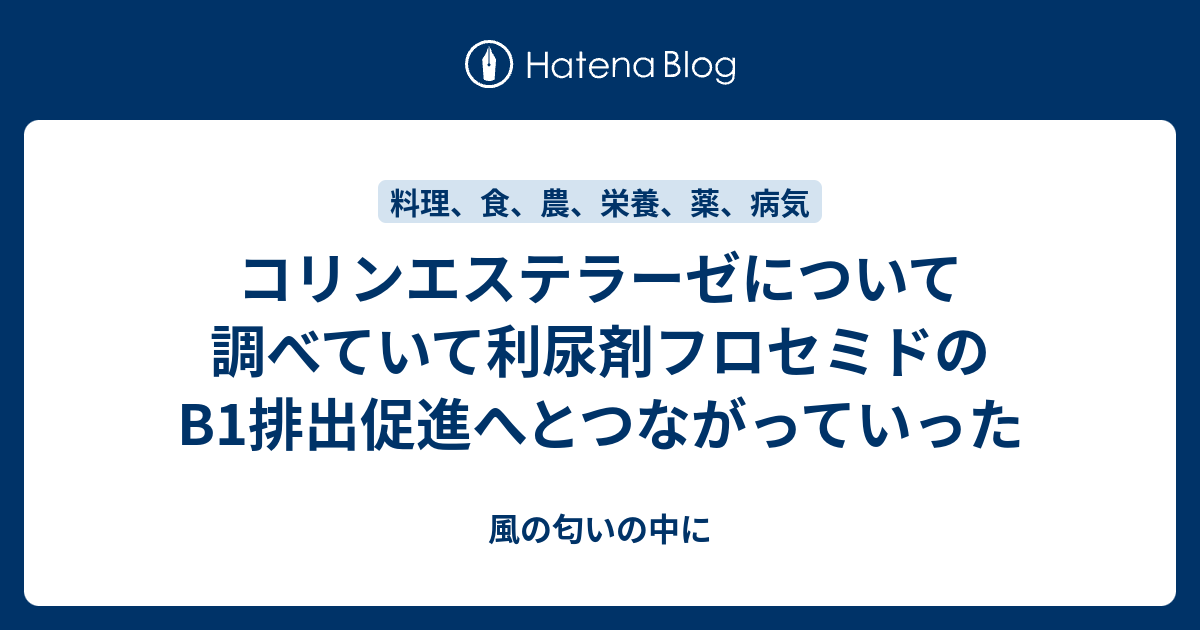 コリンエステラーゼ阻害剤はどのように作用するのでしょうか?