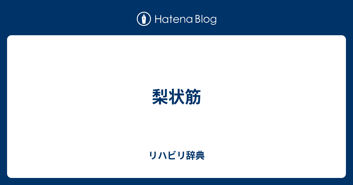 作用 筋 梨 状
