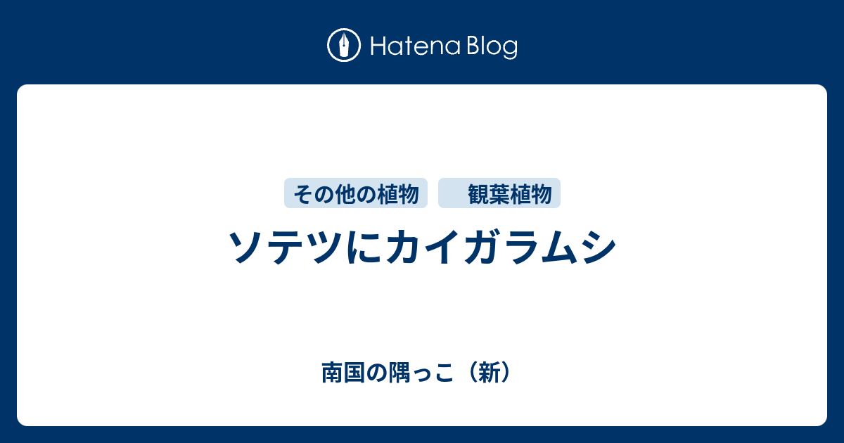 ソテツにカイガラムシ 南国の隅っこ 新