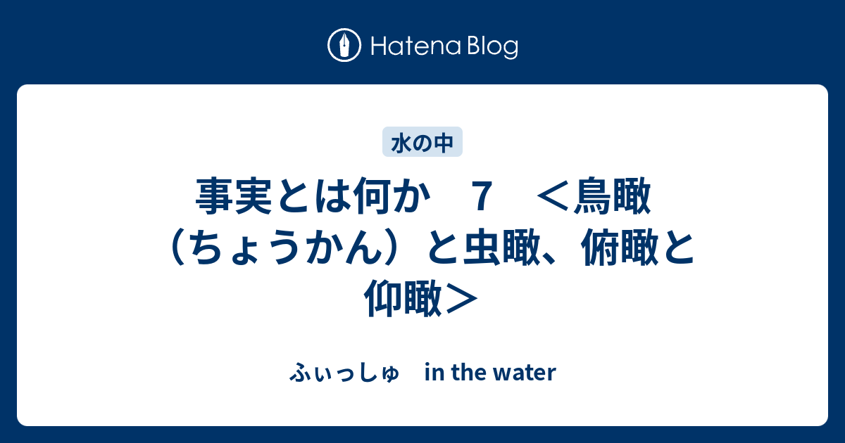 事実とは何か 7 鳥瞰 ちょうかん と虫瞰 俯瞰と仰瞰 ふぃっしゅ In The Water