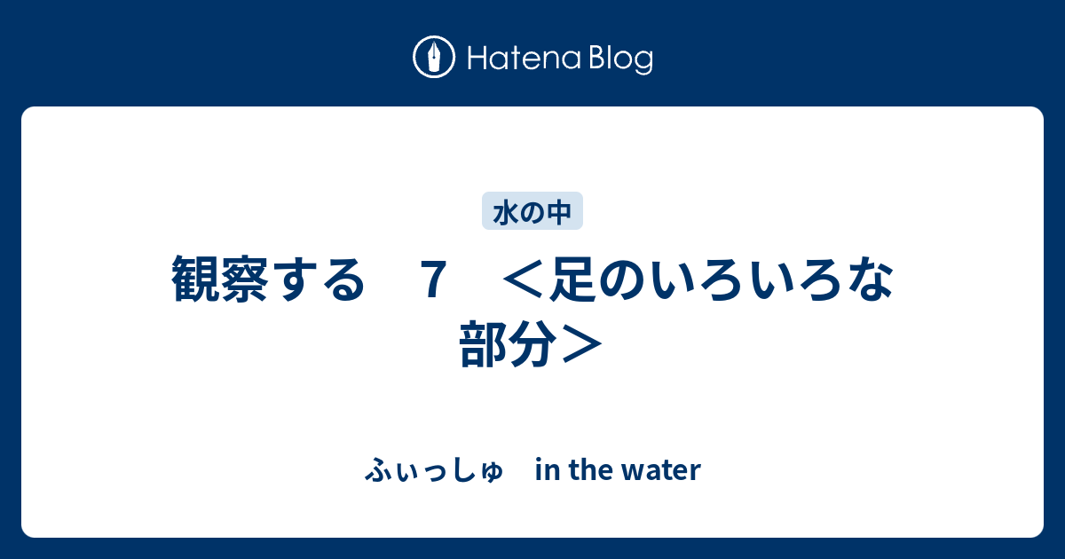 観察する 7 足のいろいろな部分 ふぃっしゅ In The Water