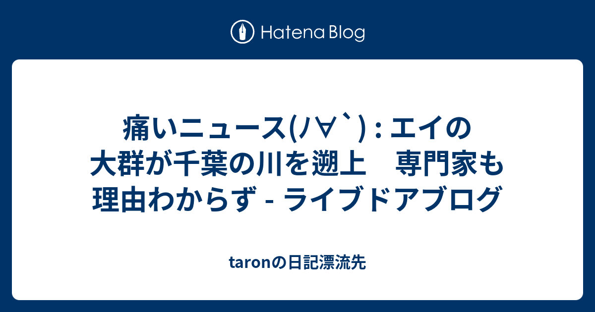 痛いニュース ﾉ エイの大群が千葉の川を遡上 専門家も理由わからず ライブドアブログ Taronの日記漂流先