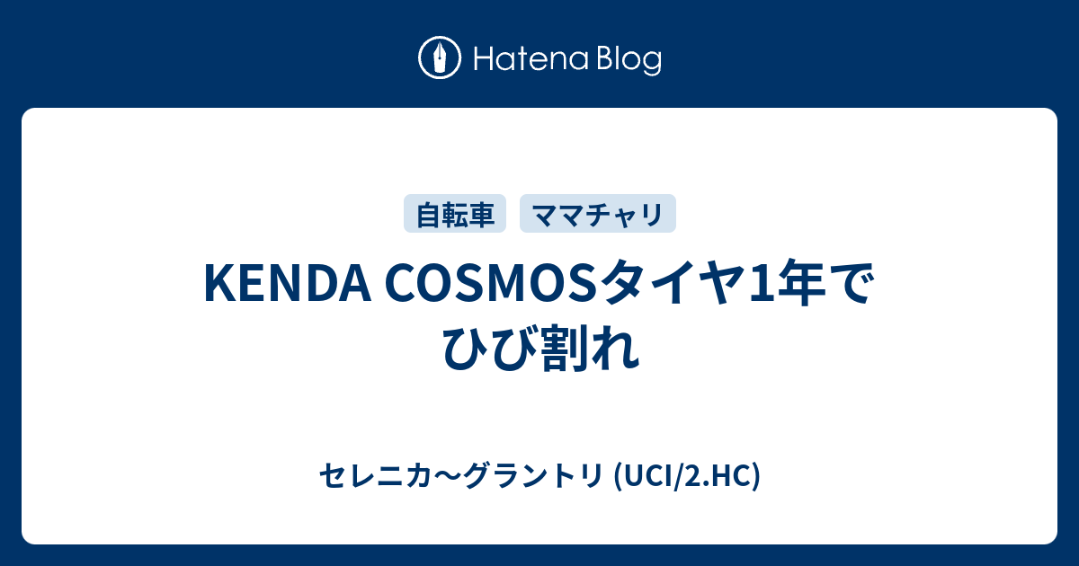 KENDA COSMOSタイヤ1年でひび割れ - セレニカ～グラントリ (UCI/2.HC)