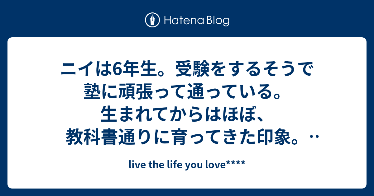 live-the-life-you-love