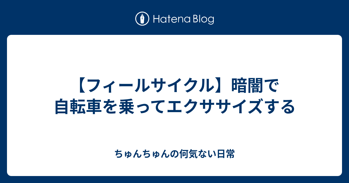 フィールサイクル 暗闇で自転車を乗ってエクササイズする ちゅんちゅんの何気ない日常