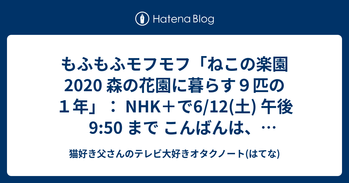 もふもふモフモフ ねこの楽園 森の花園に暮らす９匹の１年 Nhk で6 12 土 午後9 50 まで こんばんは 猫好き父さんです 猫好き父さんのはてなノート