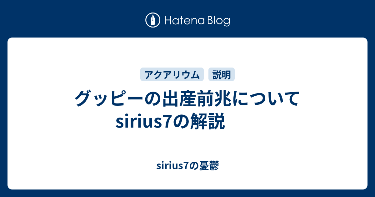 グッピーの出産前兆について Sirius7の解説 Sirius7の憂鬱