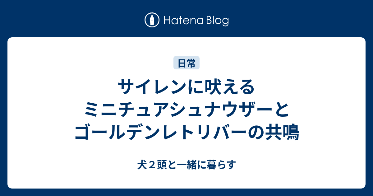 サイレンに吠えるミニチュアシュナウザーとゴールデンレトリバーの共鳴 犬２頭と一緒に暮らす