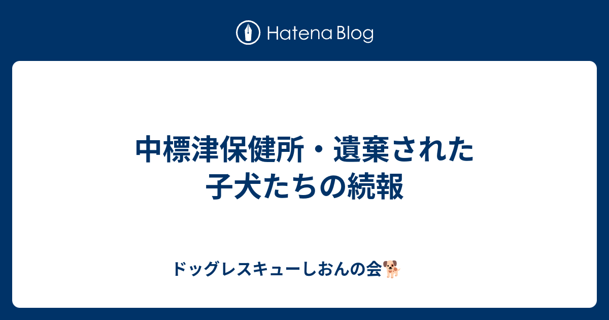 中標津保健所 遺棄された子犬たちの続報 しおんのわんころもち