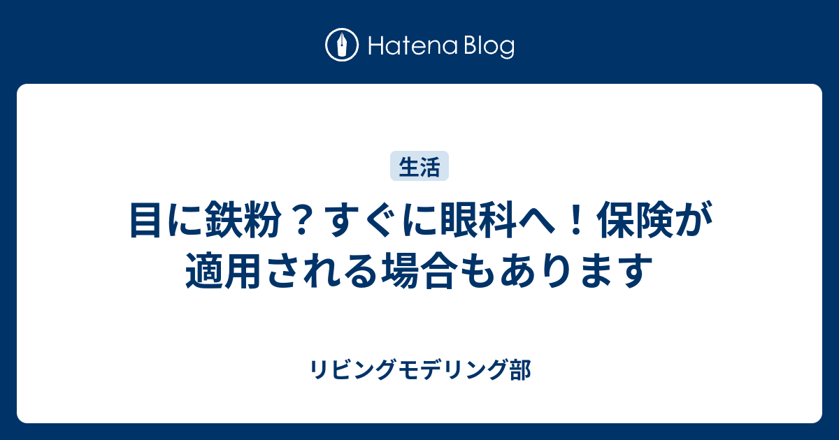 目に鉄粉 すぐに眼科へ 保険が適用される場合もあります リビングモデリング部