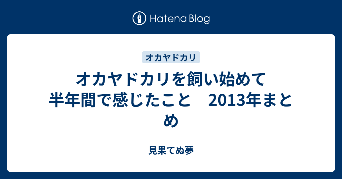 オカヤドカリを飼い始めて半年間で感じたこと 13年まとめ 見果てぬ夢