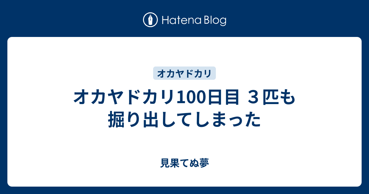 オカヤドカリ100日目 ３匹も掘り出してしまった 見果てぬ夢