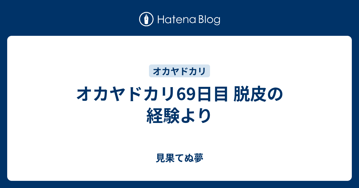 オカヤドカリ69日目 脱皮の経験より 見果てぬ夢