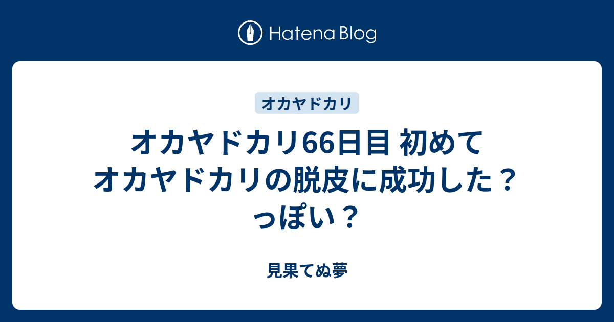 オカヤドカリ66日目 初めてオカヤドカリの脱皮に成功した っぽい 見果てぬ夢