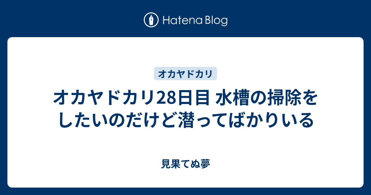 オカヤドカリ28日目 水槽の掃除をしたいのだけど潜ってばかりいる 見果てぬ夢