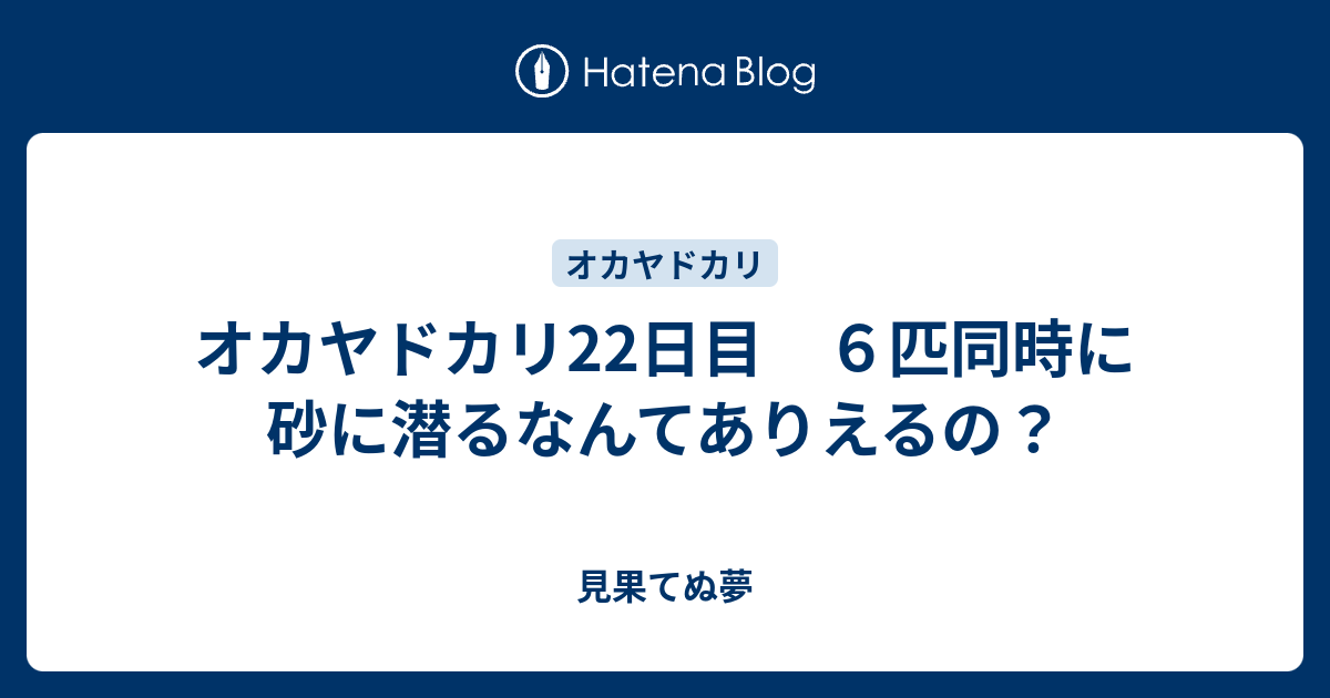 オカヤドカリ22日目 ６匹同時に砂に潜るなんてありえるの 見果てぬ夢