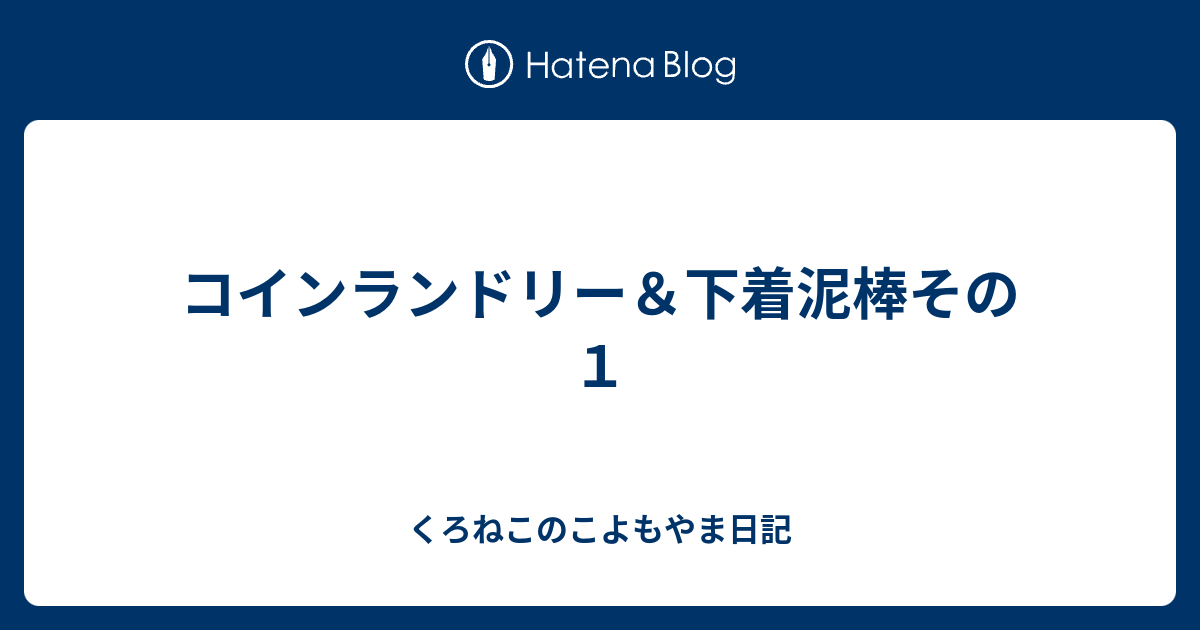 コインランドリー 下着泥棒その１ くろねこのこよもやま日記