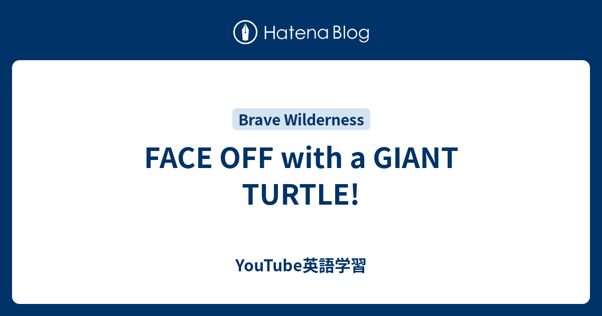 Face Off With A Giant Turtle Youtube英語学習