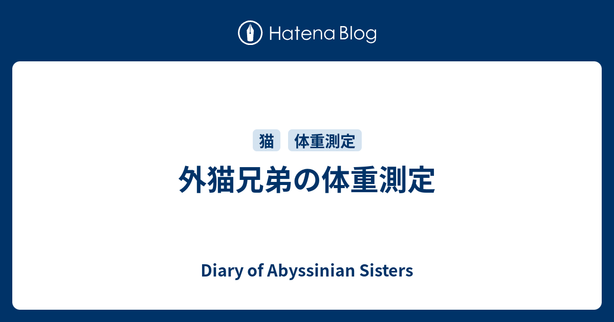 外猫兄弟の体重測定 - Diary of Abyssinian Sisters