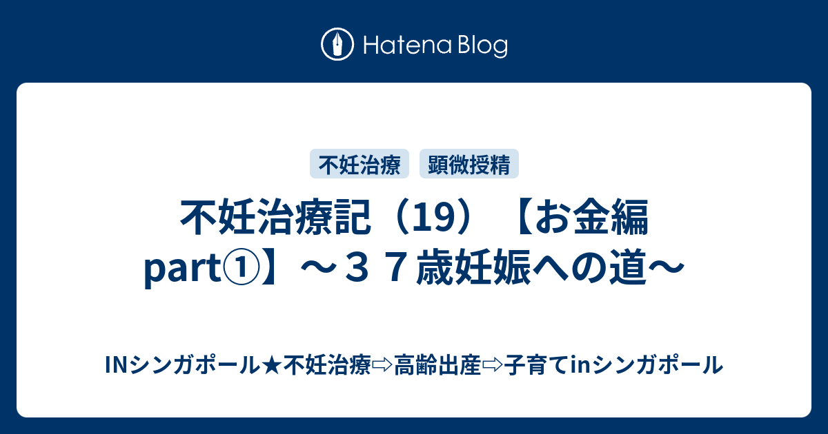 不妊治療記 19 お金編 Part ３７歳妊娠への道 Kokopanda赤裸々ブログ 37歳高年齢出産への道