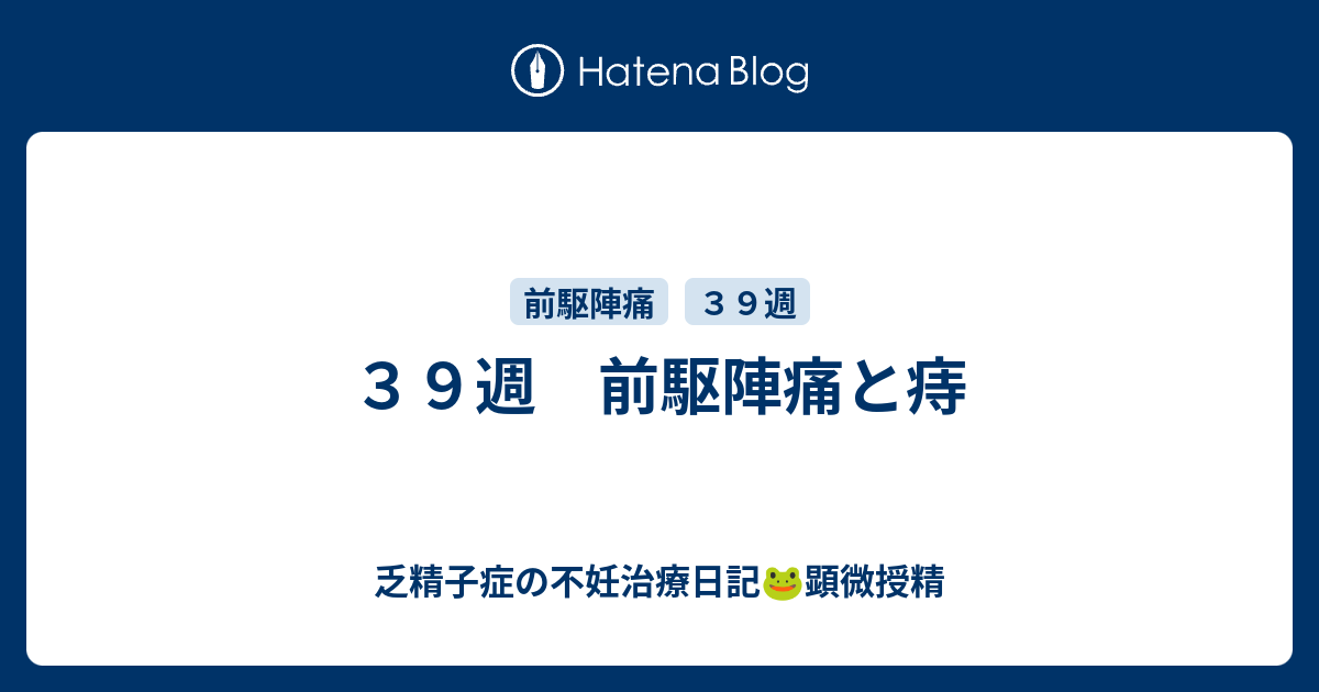 ３９週 前駆陣痛と痔 乏精子症の不妊治療日記 顕微授精