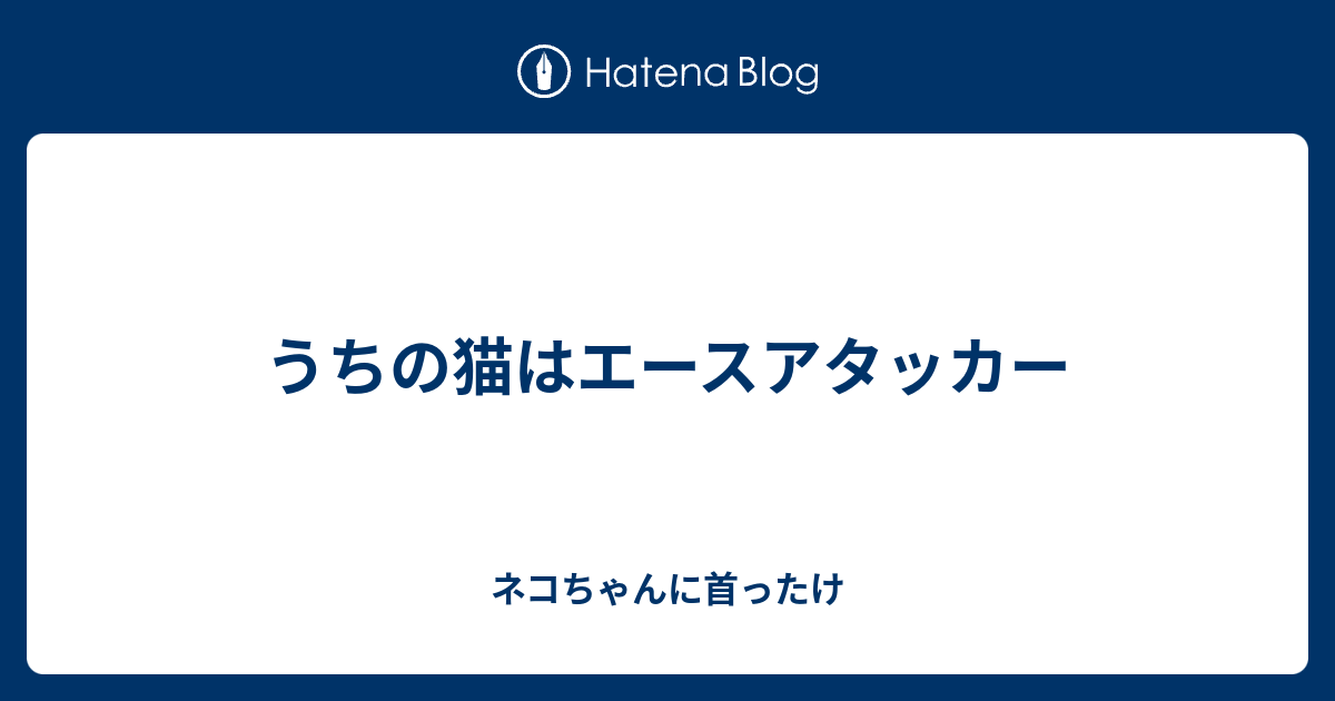 ネコちゃんに首ったけ  うちの猫はエースアタッカー