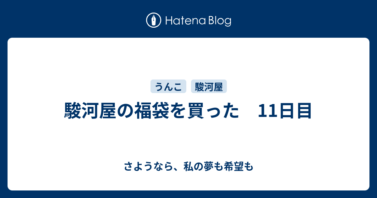 駿河屋の福袋を買った 11日目 さようなら 私の夢も希望も