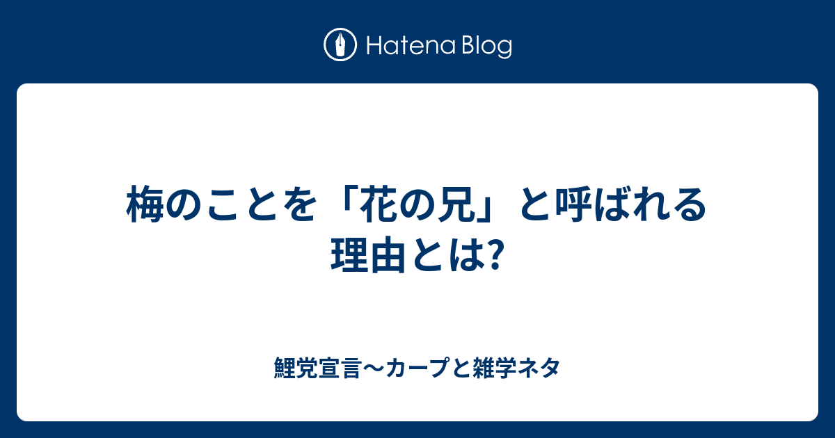 梅のことを 花の兄 と呼ばれる理由とは 鯉党宣言 カープと雑学ネタ