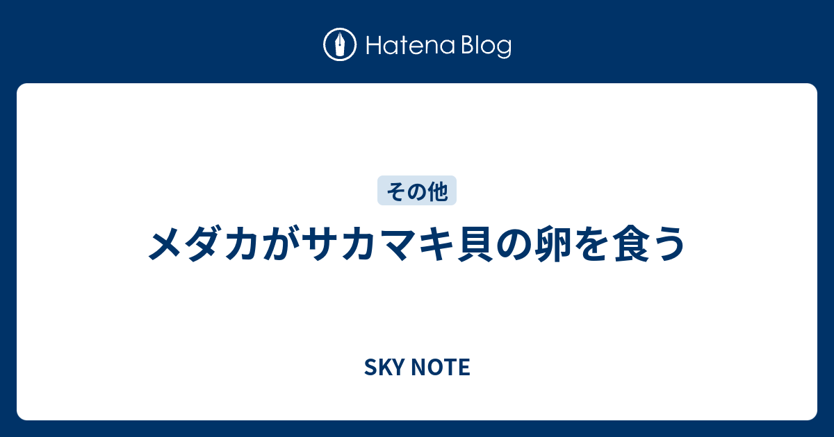 メダカがサカマキ貝の卵を食う Sky Note