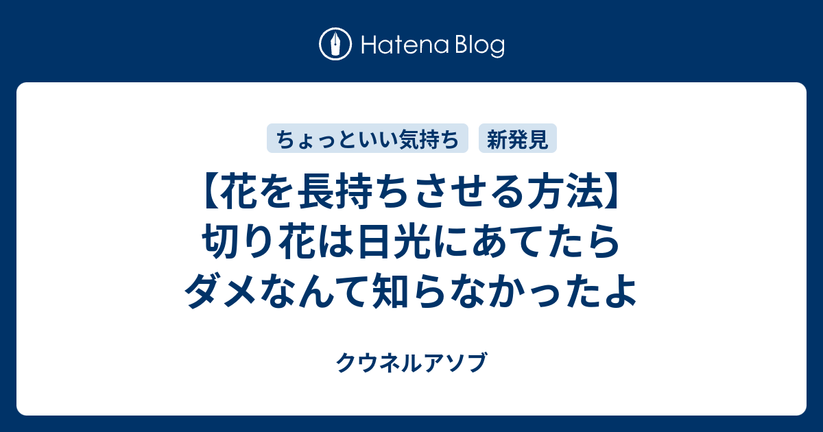 花を長持ちさせる方法 切り花は日光にあてたらダメなんて知らなかったよ まいにちしんか