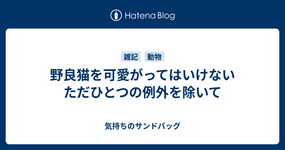 野良猫を可愛がってはいけない ただひとつの例外を除いて 気持ちのサンドバッグ