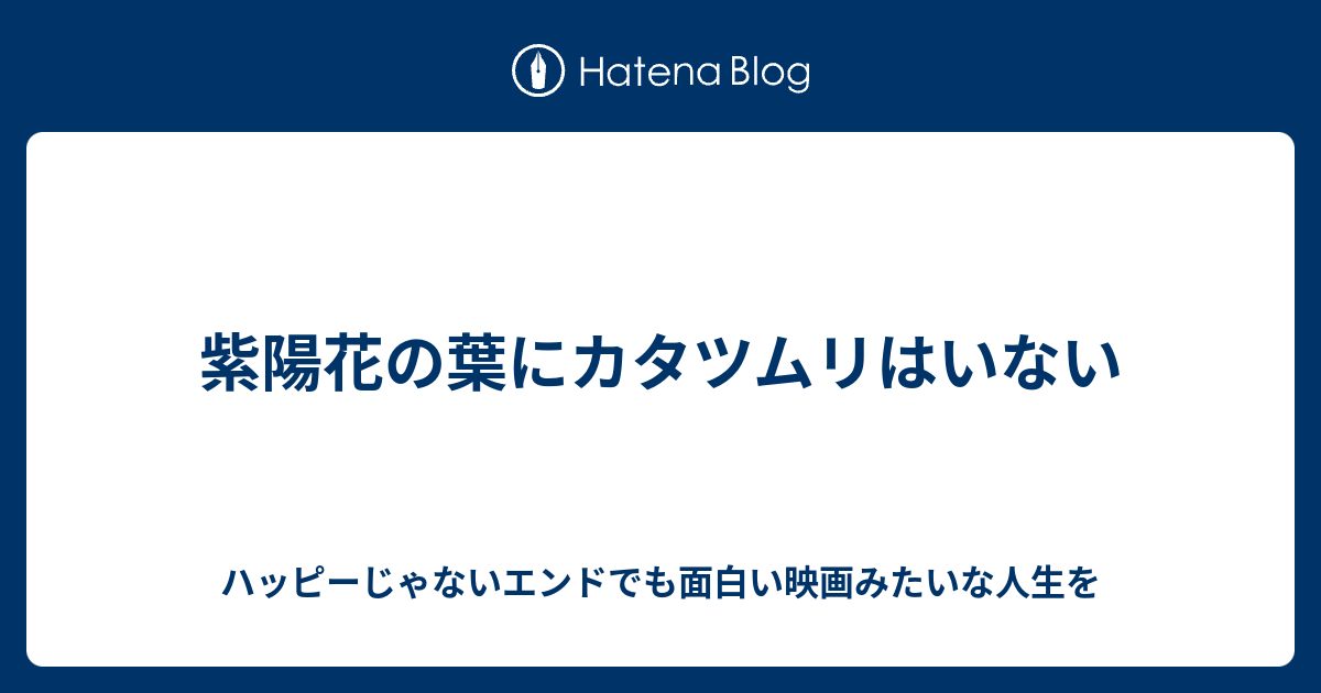 紫陽花の葉にカタツムリはいない いつかの私だったあなたへ