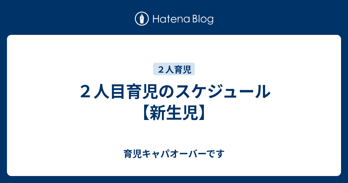 ２人目育児のスケジュール 新生児 育児キャパオーバーです