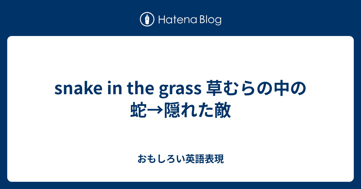 Snake In The Grass 草むらの中の蛇 隠れた敵 おもしろい英語表現