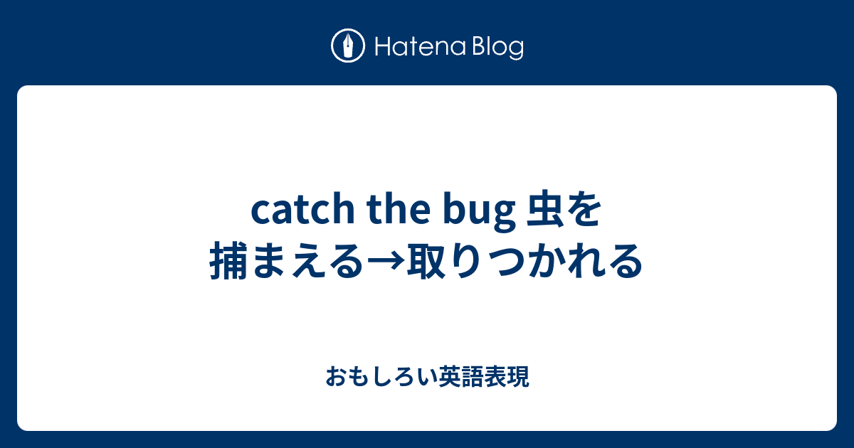 Catch The Bug 虫を捕まえる 取りつかれる おもしろい英語表現