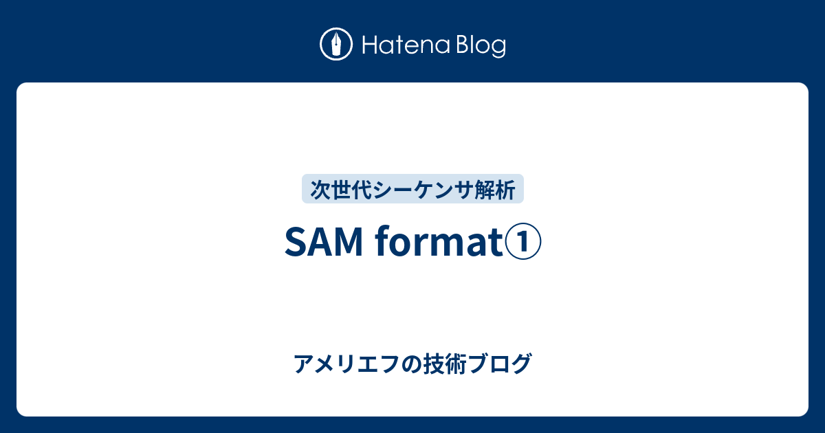 sam-format