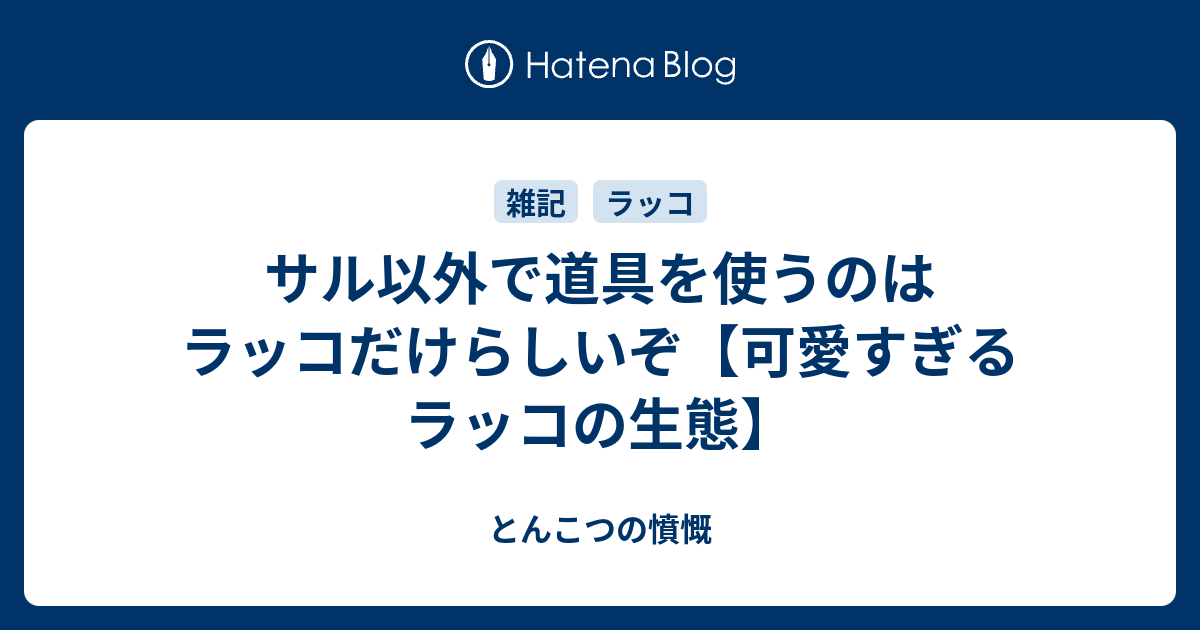 サル以外で道具を使うのはラッコだけらしいぞ 可愛すぎるラッコの生態 とんこつの憤慨