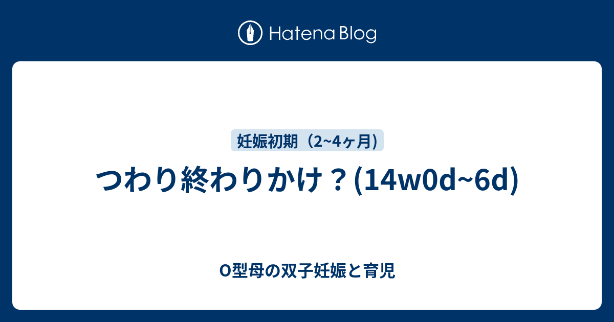 つわり終わりかけ 14w0d 6d O型母の双子妊娠と育児