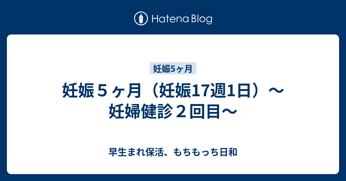 妊娠５ヶ月 妊娠17週1日 妊婦健診２回目 早生まれ保活 もちもっち日和