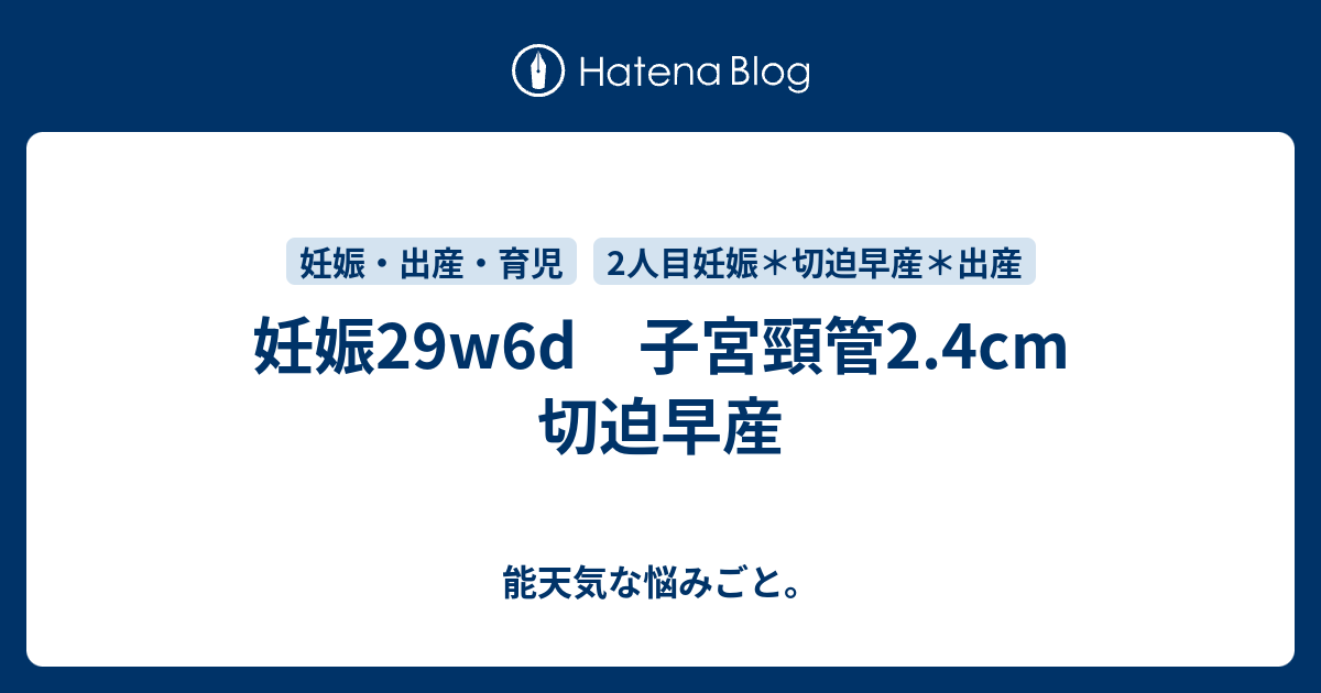 妊娠29w6d 子宮頸管2 4cm 切迫早産 能天気な悩みごと