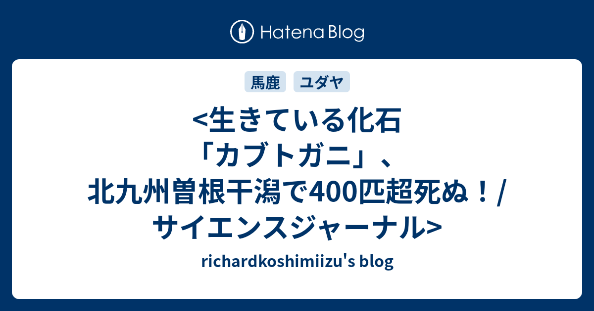 生きている化石 カブトガニ 北九州曽根干潟で400匹超死ぬ サイエンスジャーナル Richardkoshimiizu S Blog