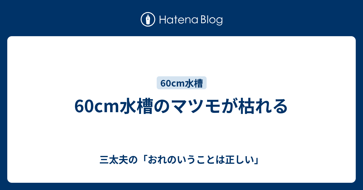 60cm水槽のマツモが枯れる 三太夫の おれのいうことは正しい