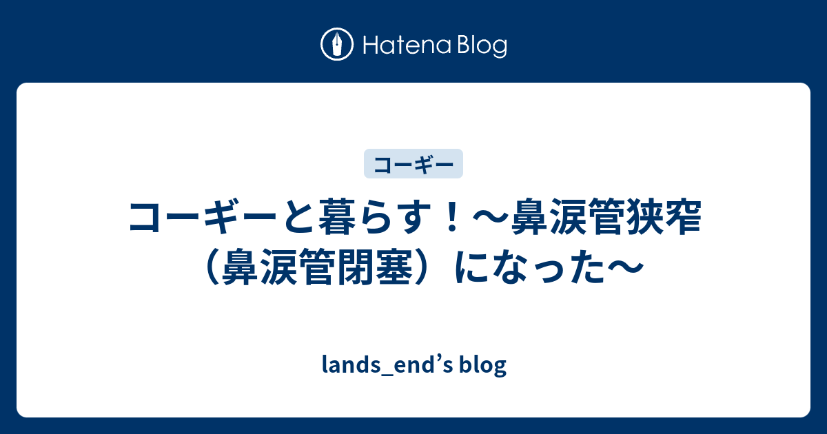 コーギーと暮らす 鼻涙管狭窄 鼻涙管閉塞 になった Lands End S Blog