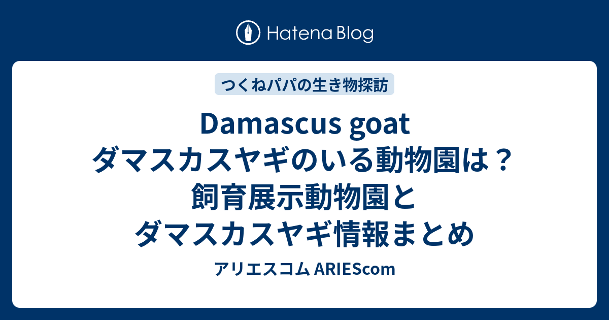 ダマスカスヤギのいる動物園は？飼育展示動物園とダマスカスヤギ情報まとめ アリエスコム