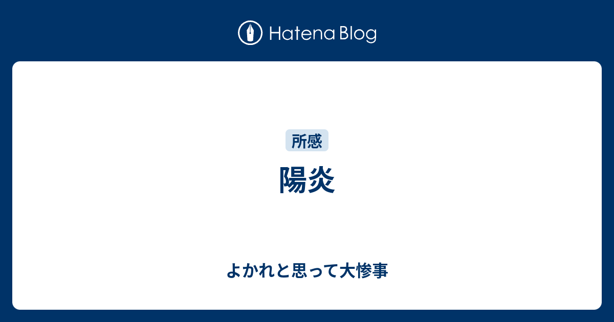 陽炎 - よかれと思って大惨事
