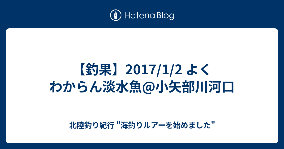 釣果 17 1 2 よくわからん淡水魚 小矢部川河口 北陸釣り紀行 海釣りルアーを始めました