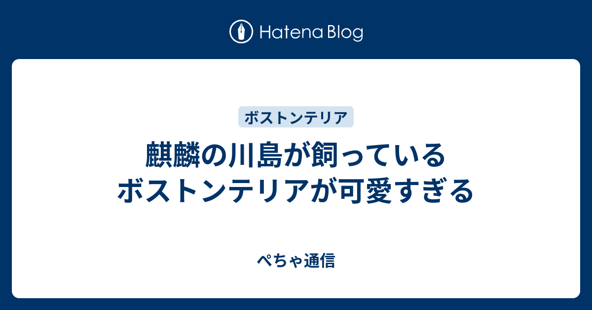 麒麟の川島が飼っているボストンテリアが可愛すぎる ぺちゃ通信